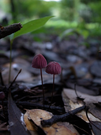 20131012-2.jpg