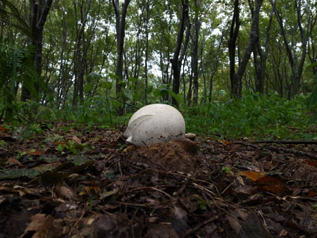 20131020-1.jpg