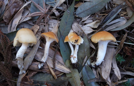 20131222-3.jpg