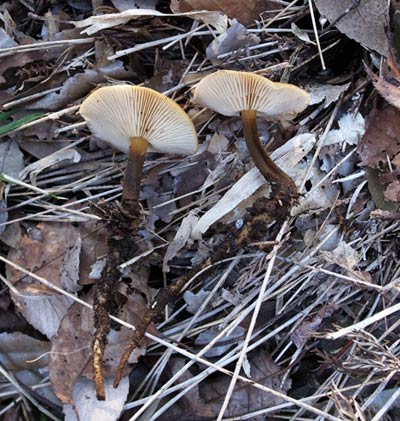20140112-2.jpg