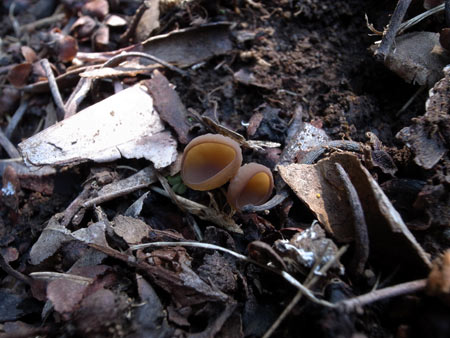 20140316-1.jpg