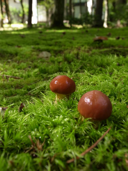 20140926-6.jpg