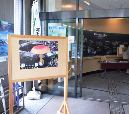 20150905-1.jpg