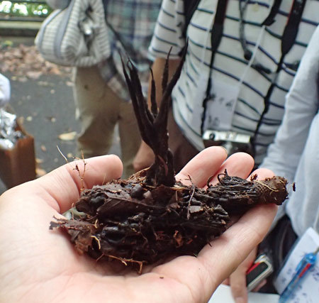 20150905-12.jpg