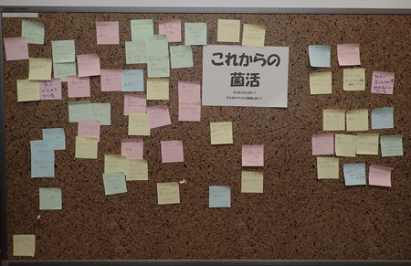 20150905-15.jpg