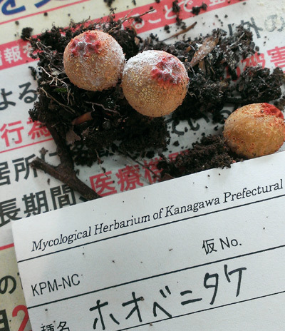 20150905-7.jpg