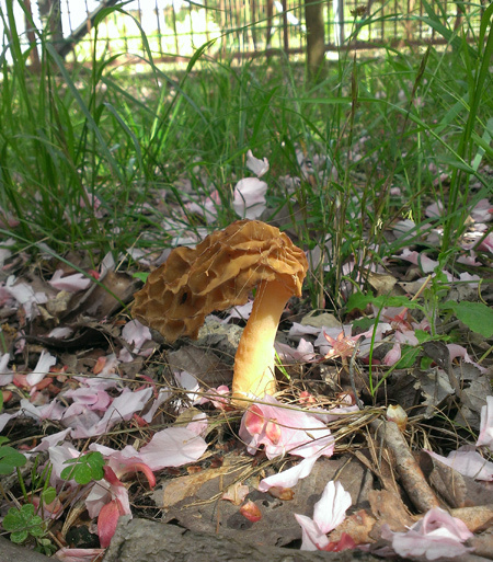 20160424-4.jpg
