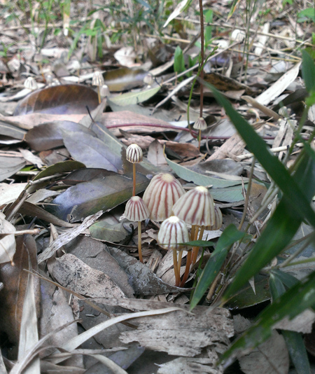 20160424-8.jpg