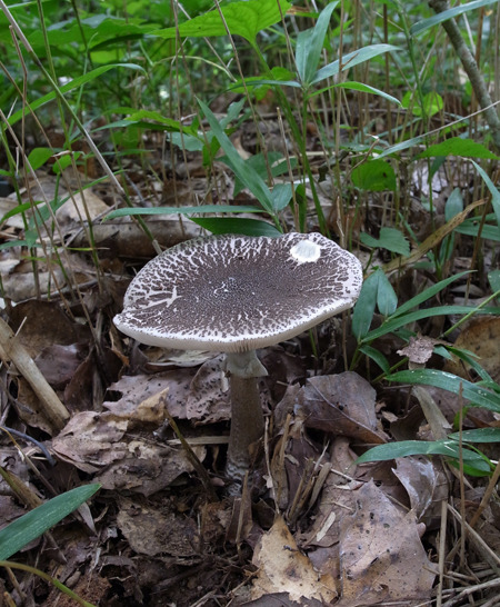 20160814-3.jpg